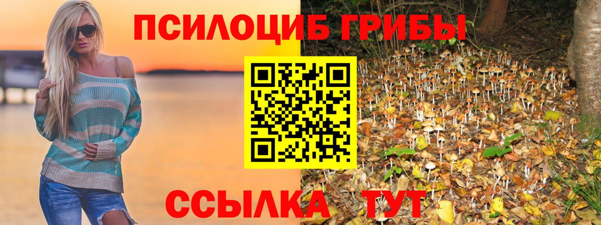 Галлюциногенные грибы GOLDEN TEACHER  Вход с VPN  где купить   Дзержинский 